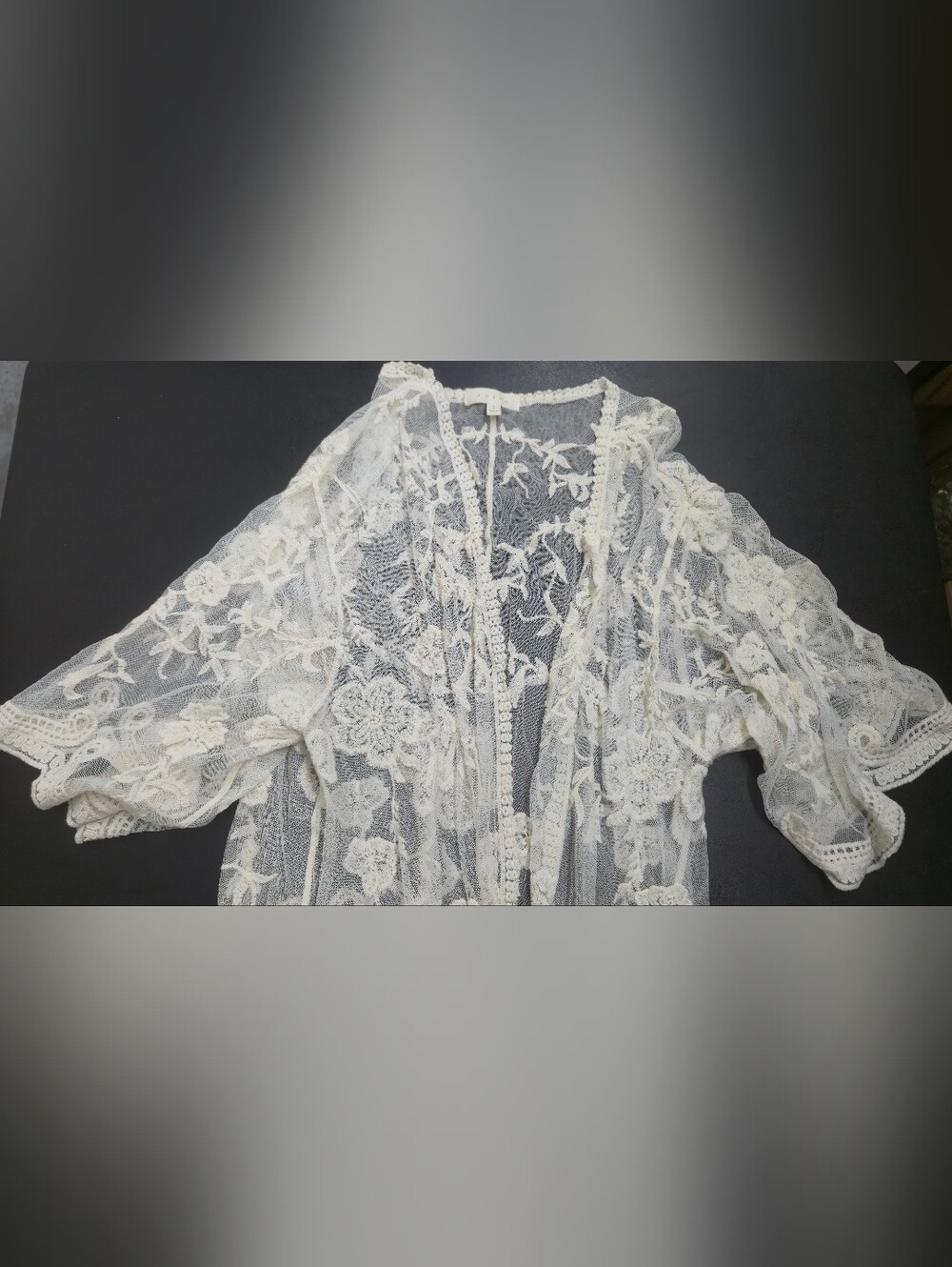 Adiva Sheer Embroidered Floral Kimono Robe in Ivory